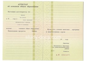 Аттестат за 9 класс 1995-2006 в Мытищи